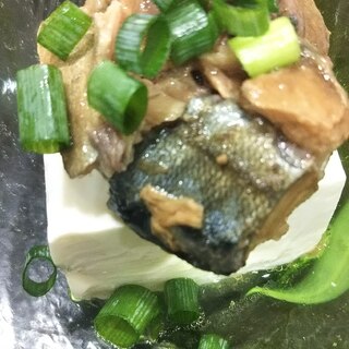 鯖でいただく冷奴